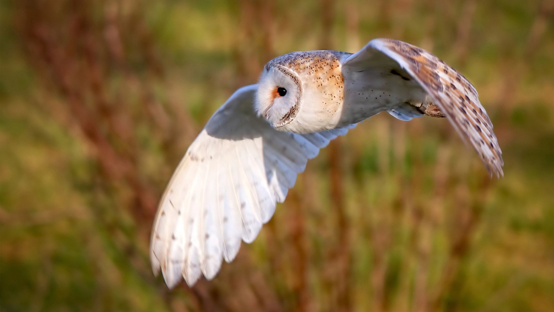 开云体育在线-独行者的回响，利拉德在费城喧嚣中雕刻答案