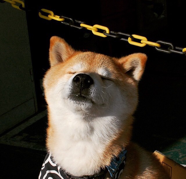 开云体育2026-双城记，长春之冰淬冷刃，圣城之火铸神迹—篮球世界的两极狂欢