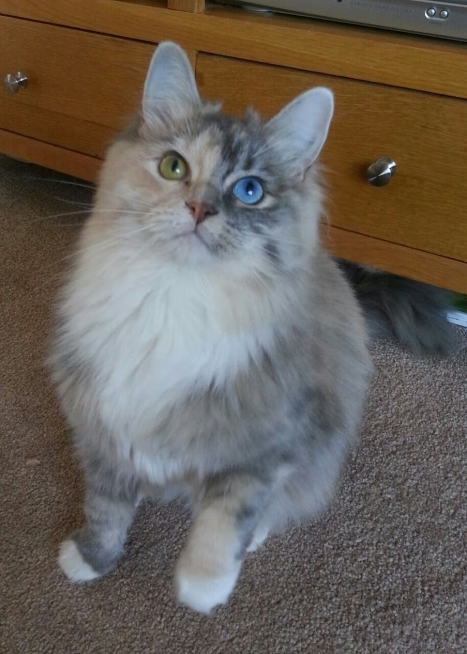 开云体育2026-钢铁穹顶，唯一斯通斯，以血肉之躯将亚特兰大举上美国之巅