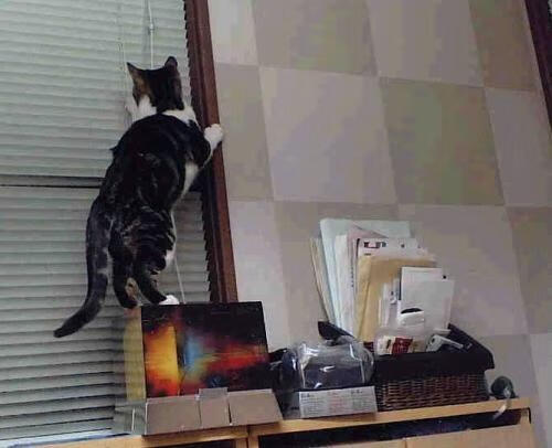 篮球华尔兹,乔治生涯夜谱写的神奇之战,辽宁上演防守交响乐封杀北京