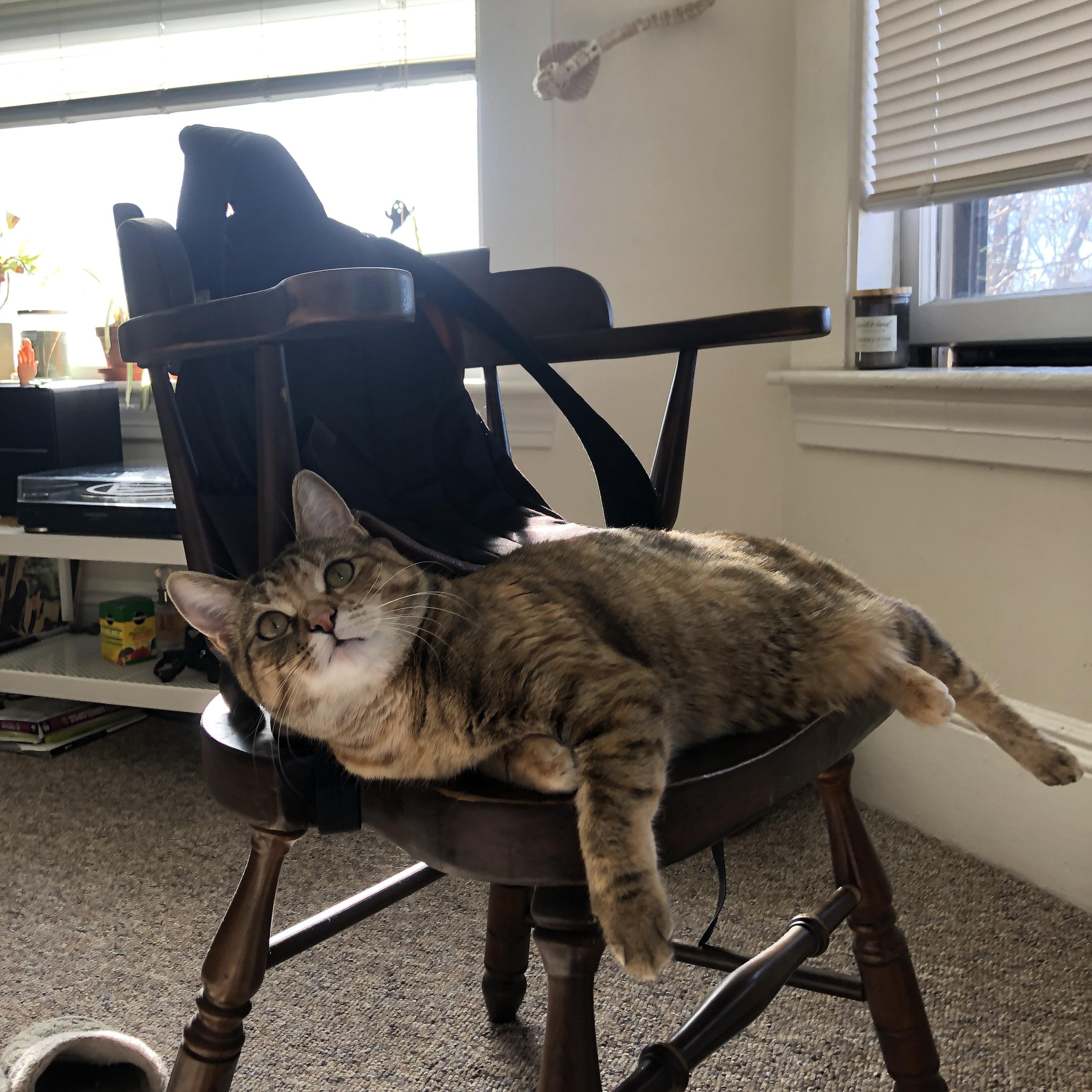 尼斯锋线撕裂韩国钢铁防线,阿什拉夫·哈基米关键先生闪耀友谊赛