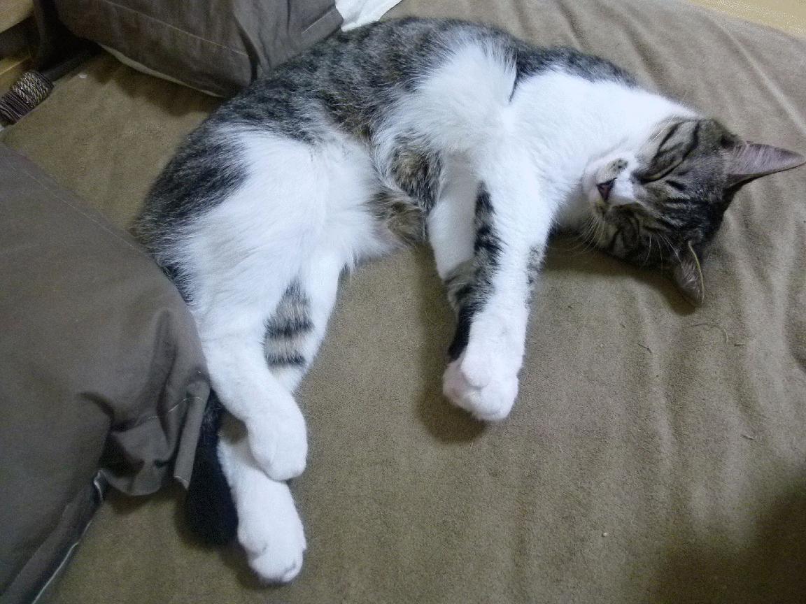 冰与火之歌,当伯纳乌遇见奥斯陆—一场关于足球的革命正在上演