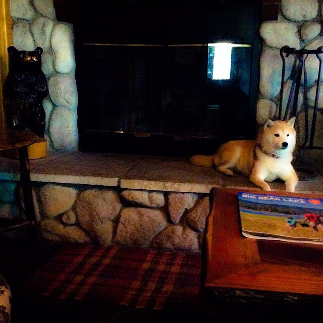 暗夜魔术师觉醒，贝恩撕裂华南虎不败金身