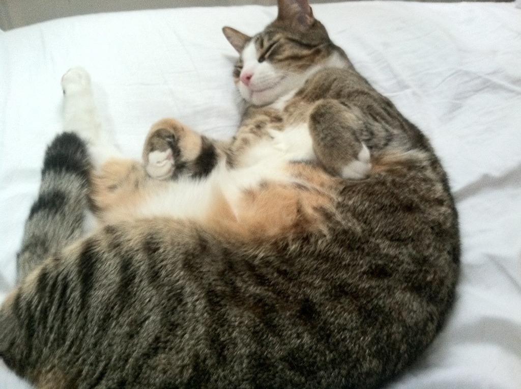 风暴眼的静默，西决生死战之夜，拉梅洛攻防转换核心