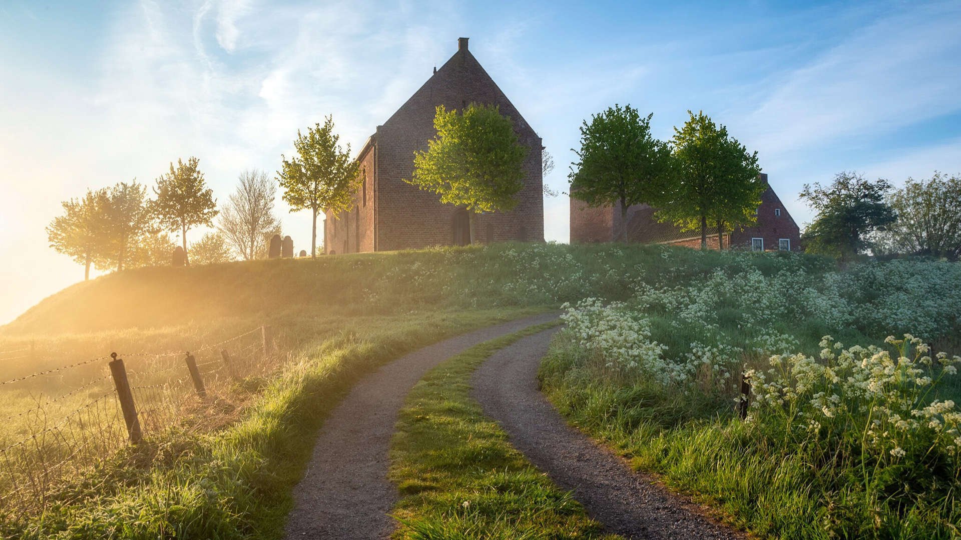 黄蜂带走骑士的夜晚，切特在德甲争冠战接管比赛