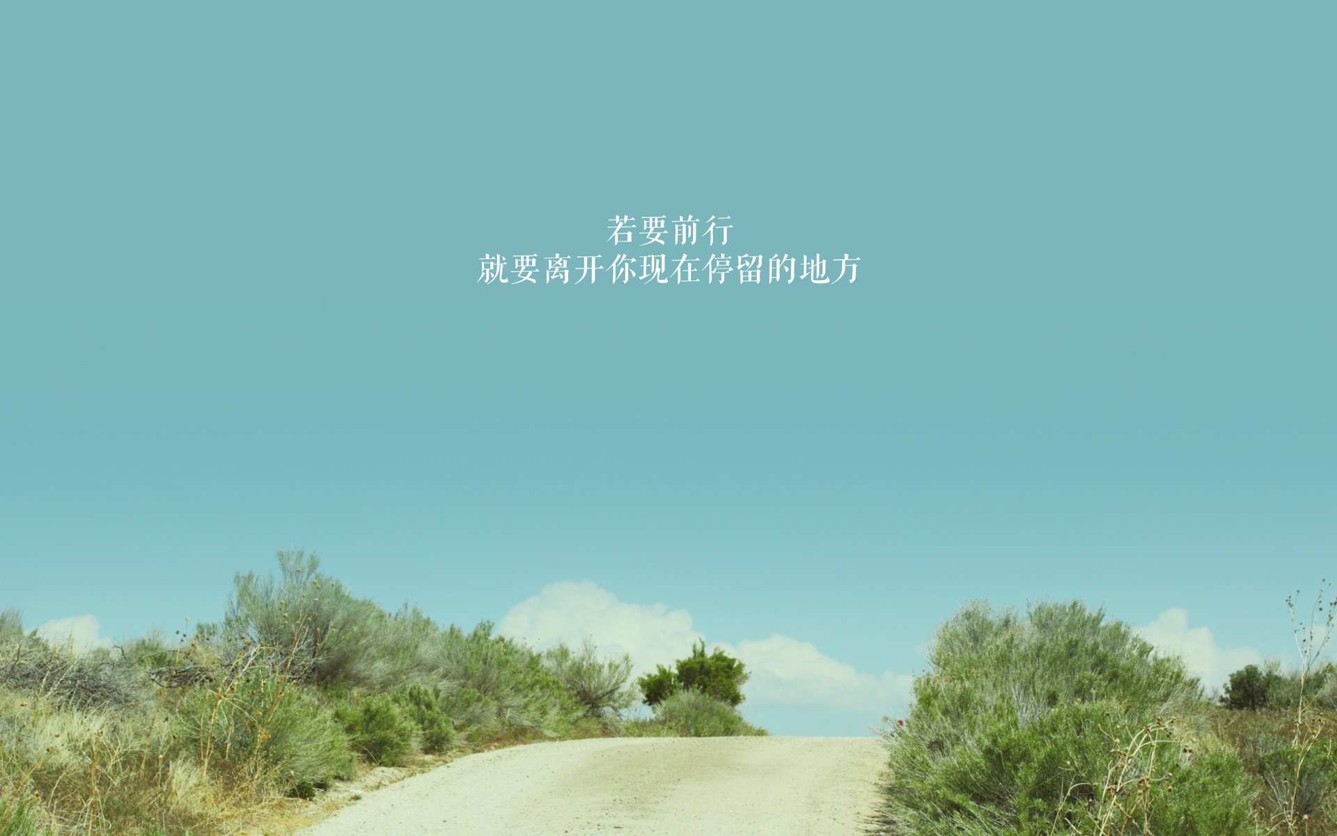 铁索横江！凯尔特人窒息防守锁死黄蜂，哈利伯顿神之一击定乾坤