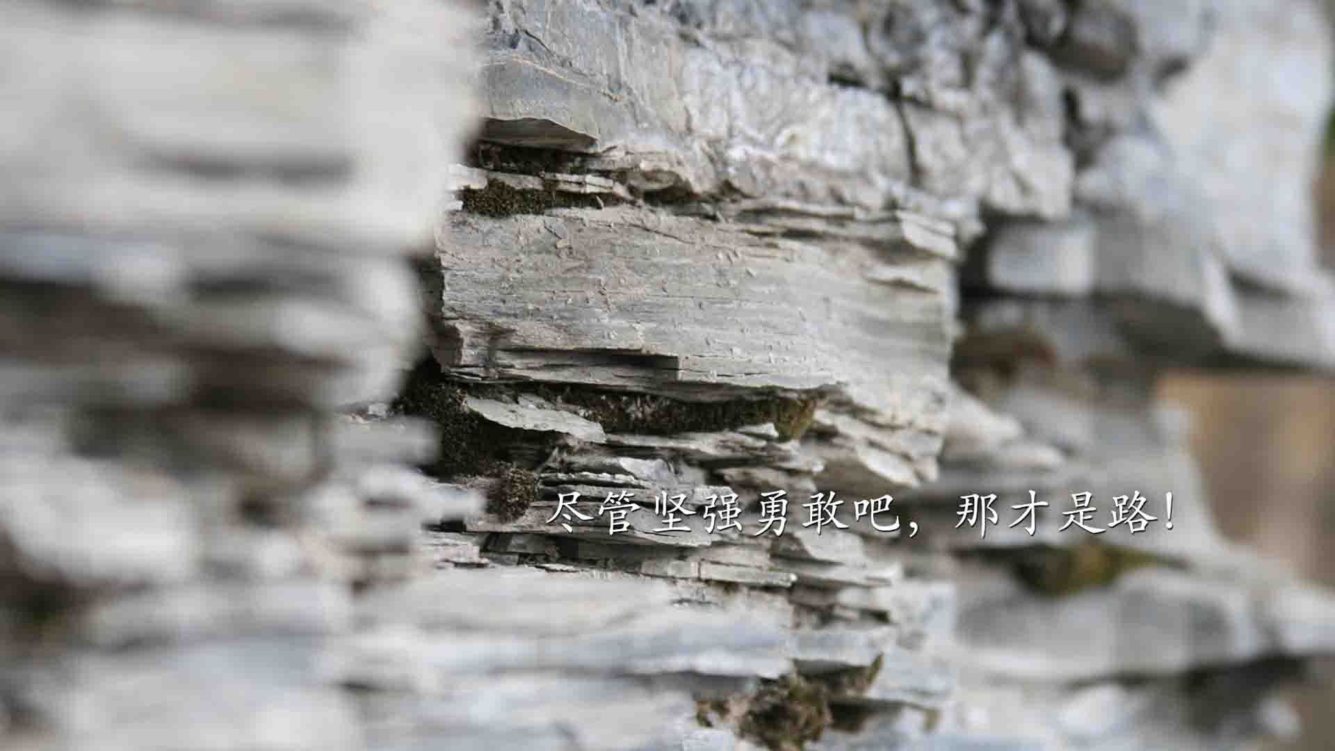 铁幕下的波斯闪电，苏亚雷斯叛逃记，伊朗在C组绞杀中击碎越南黄金梦