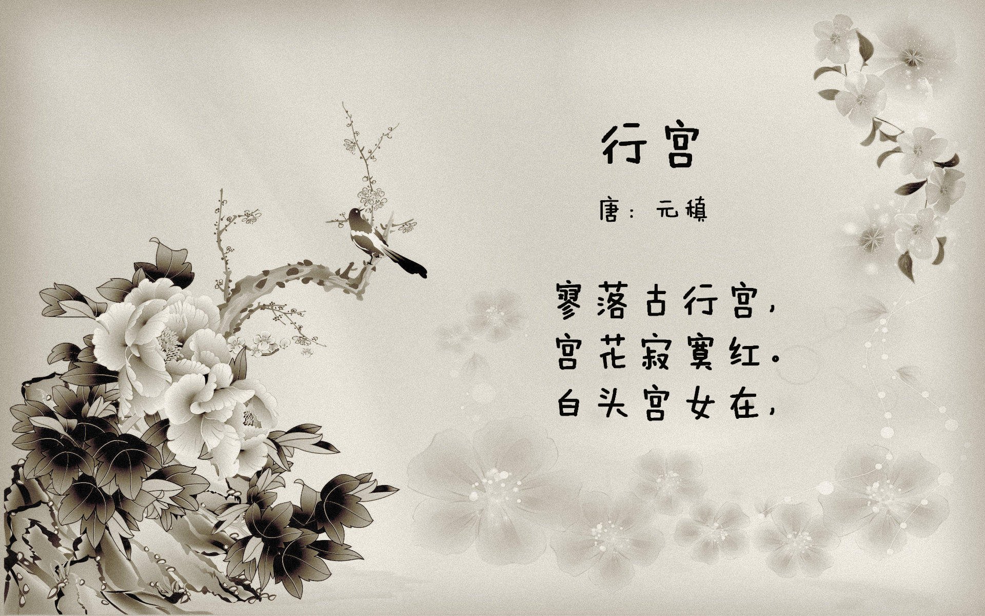 黄昏的草屑与命运的分界线，2026世界杯D组唯一性叙事
