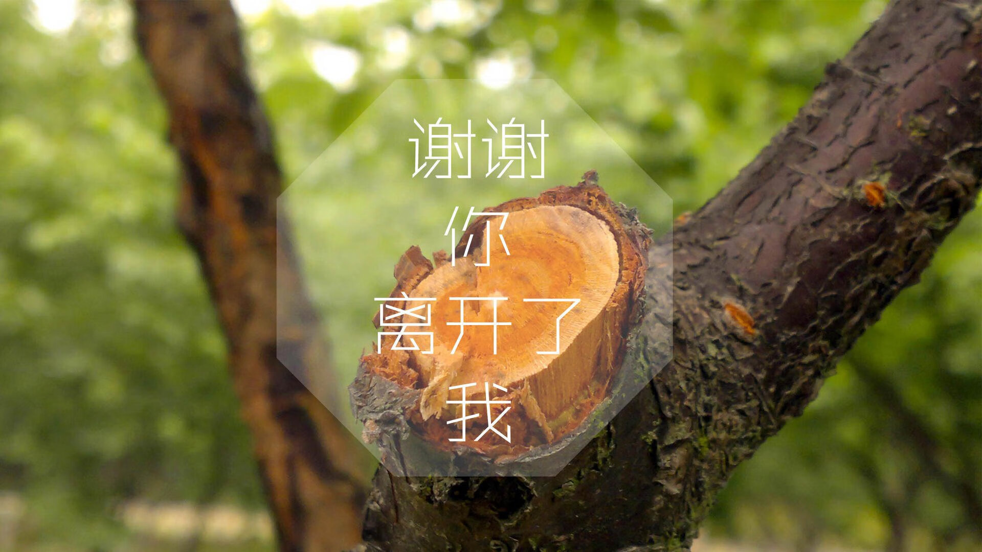 沙漠风暴里的橙衣之剑,伊朗的压制、范戴克的绝杀与一次蓄谋已久的温柔陷阱